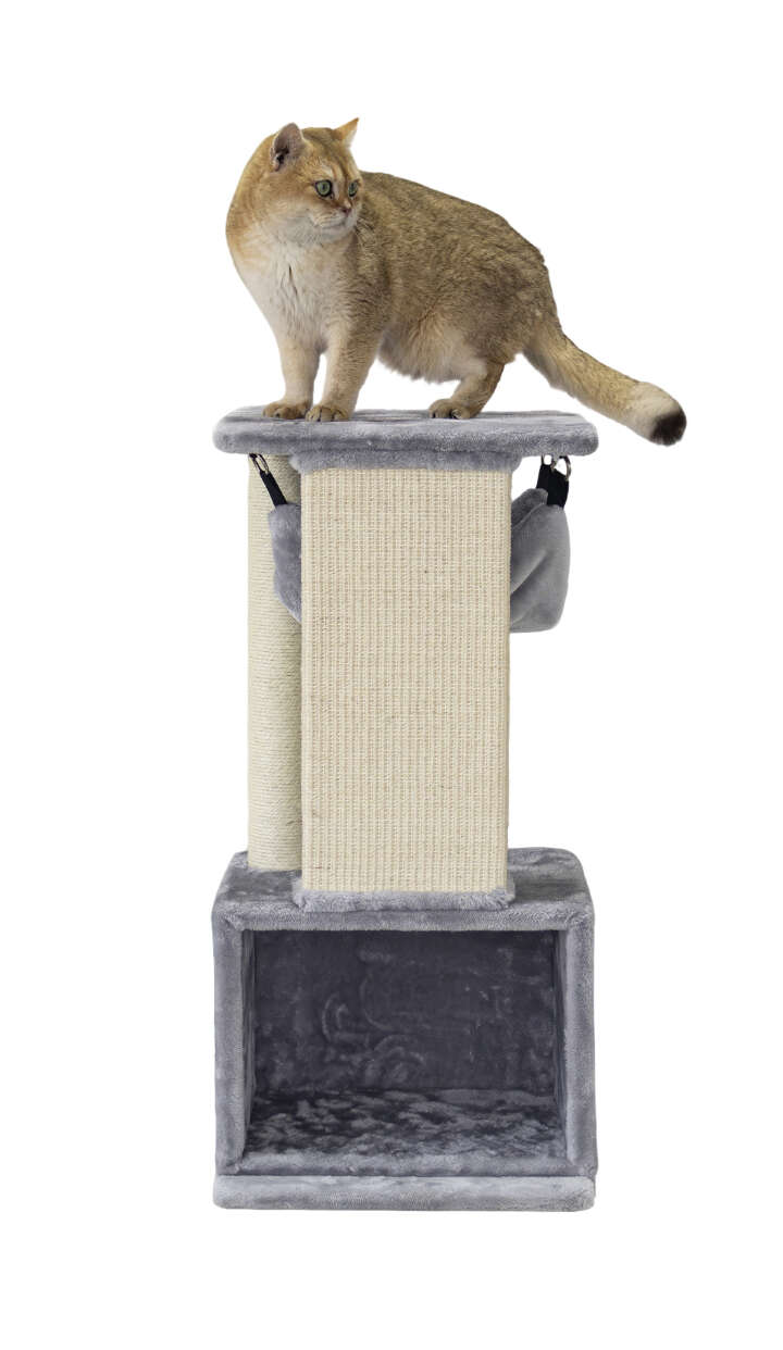 Nobby Kratzbaum Idris